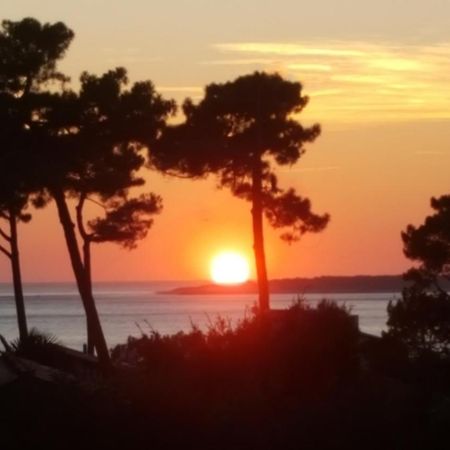 Chambre D'Hotes Pyla Sur Mer La Teste-de-Buch Zewnętrze zdjęcie