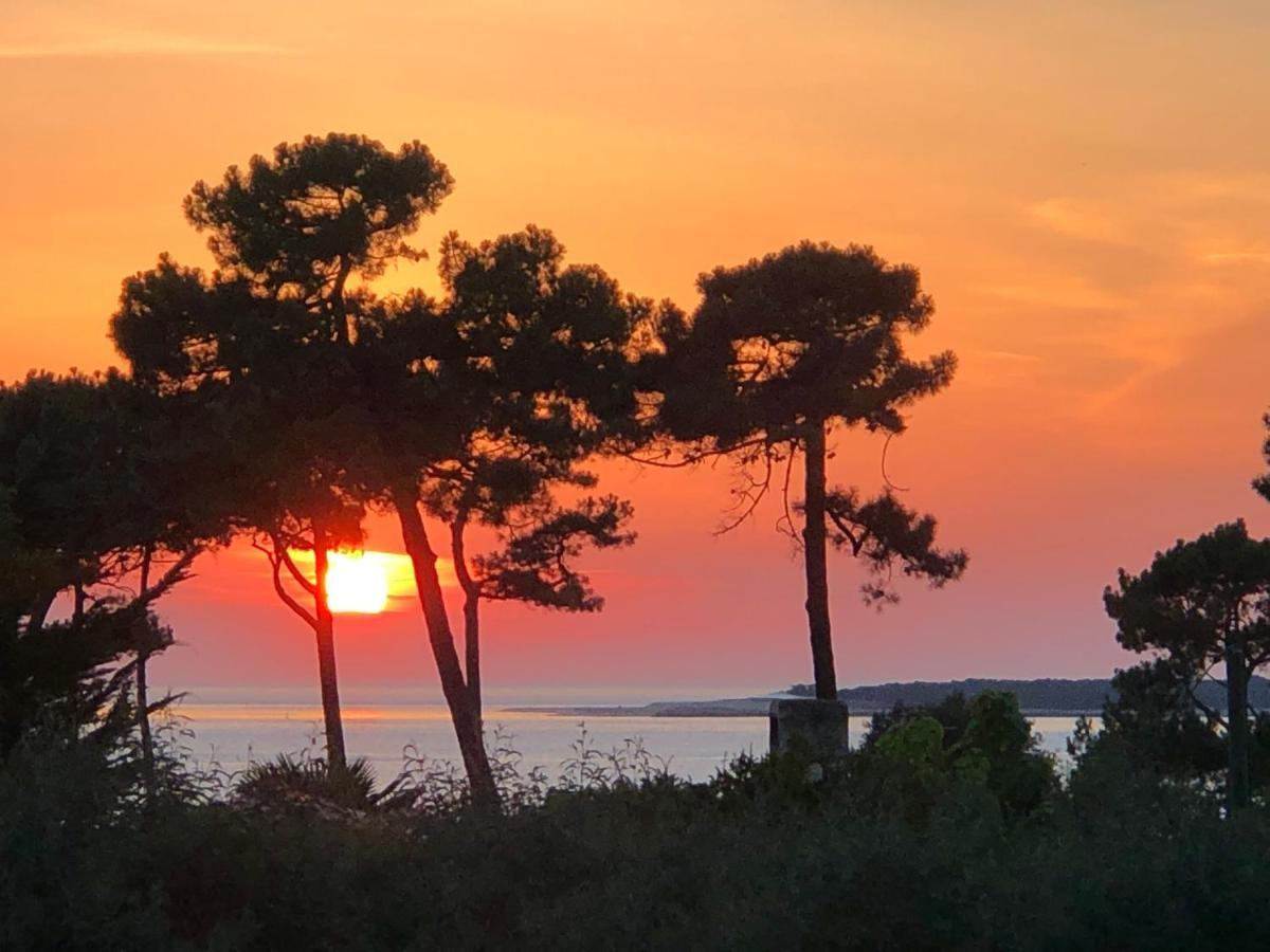 Chambre D'Hotes Pyla Sur Mer La Teste-de-Buch Zewnętrze zdjęcie