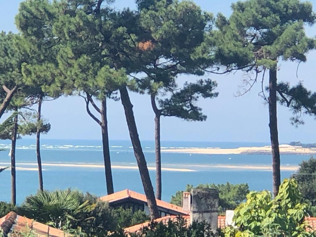 Chambre D'Hotes Pyla Sur Mer La Teste-de-Buch Zewnętrze zdjęcie